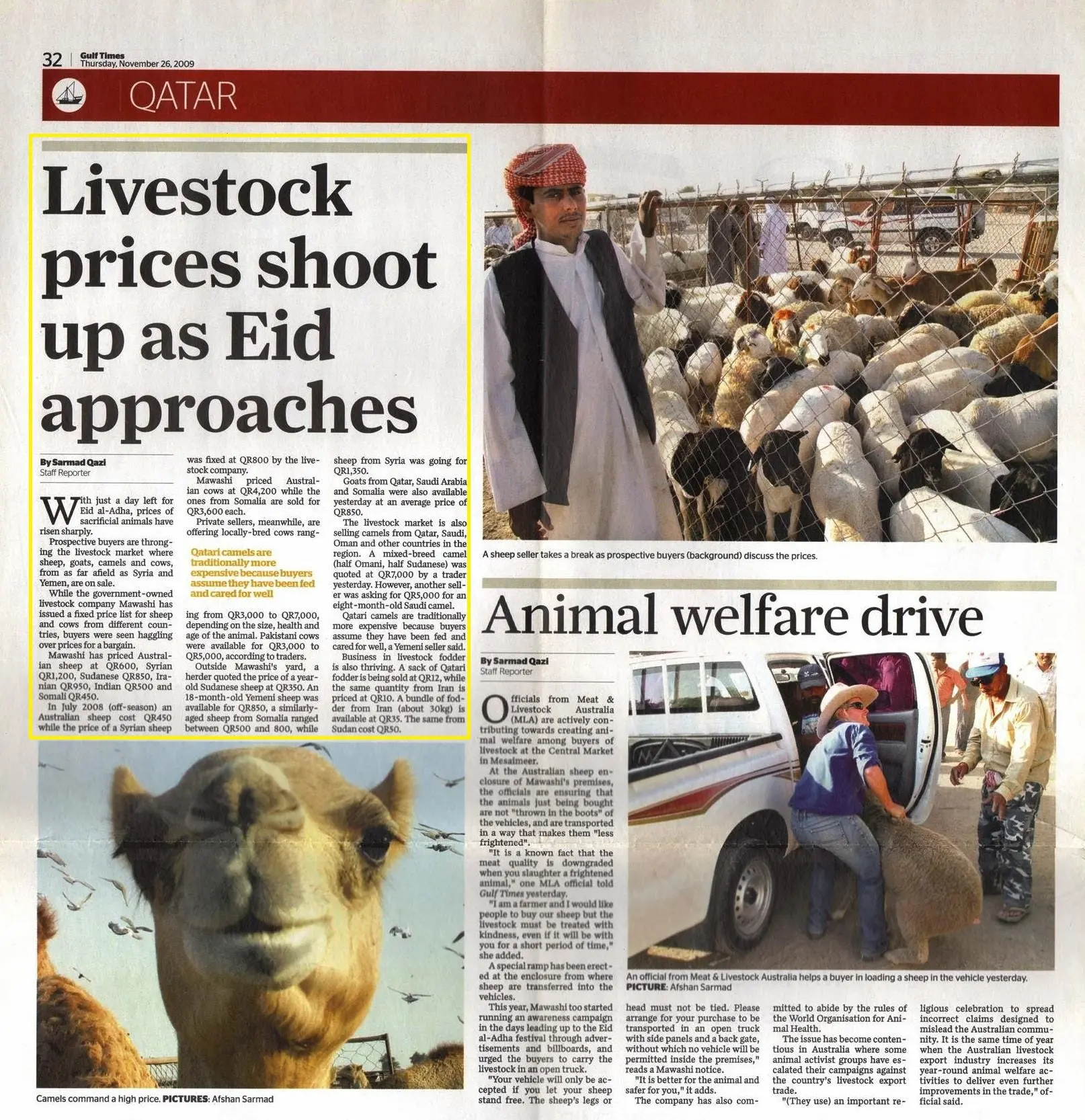Original Gulf Times clipping: Livestock prices shoot up as Eid approaches